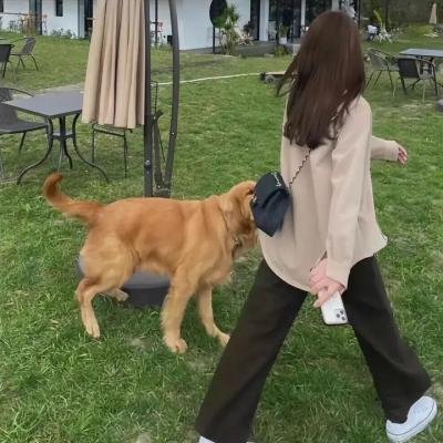 禁足少女罗曼史